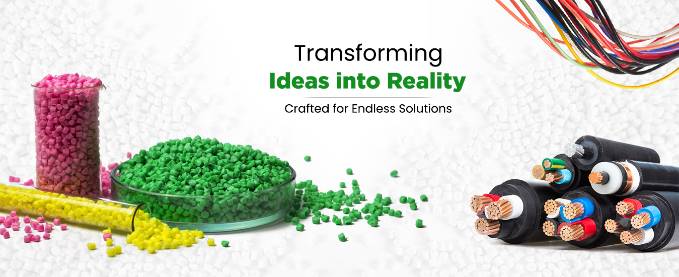 برندهای محبوب